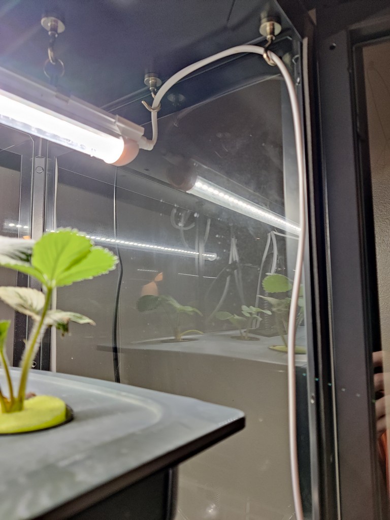 ikea-hydroponic-milsbo-greenhouse